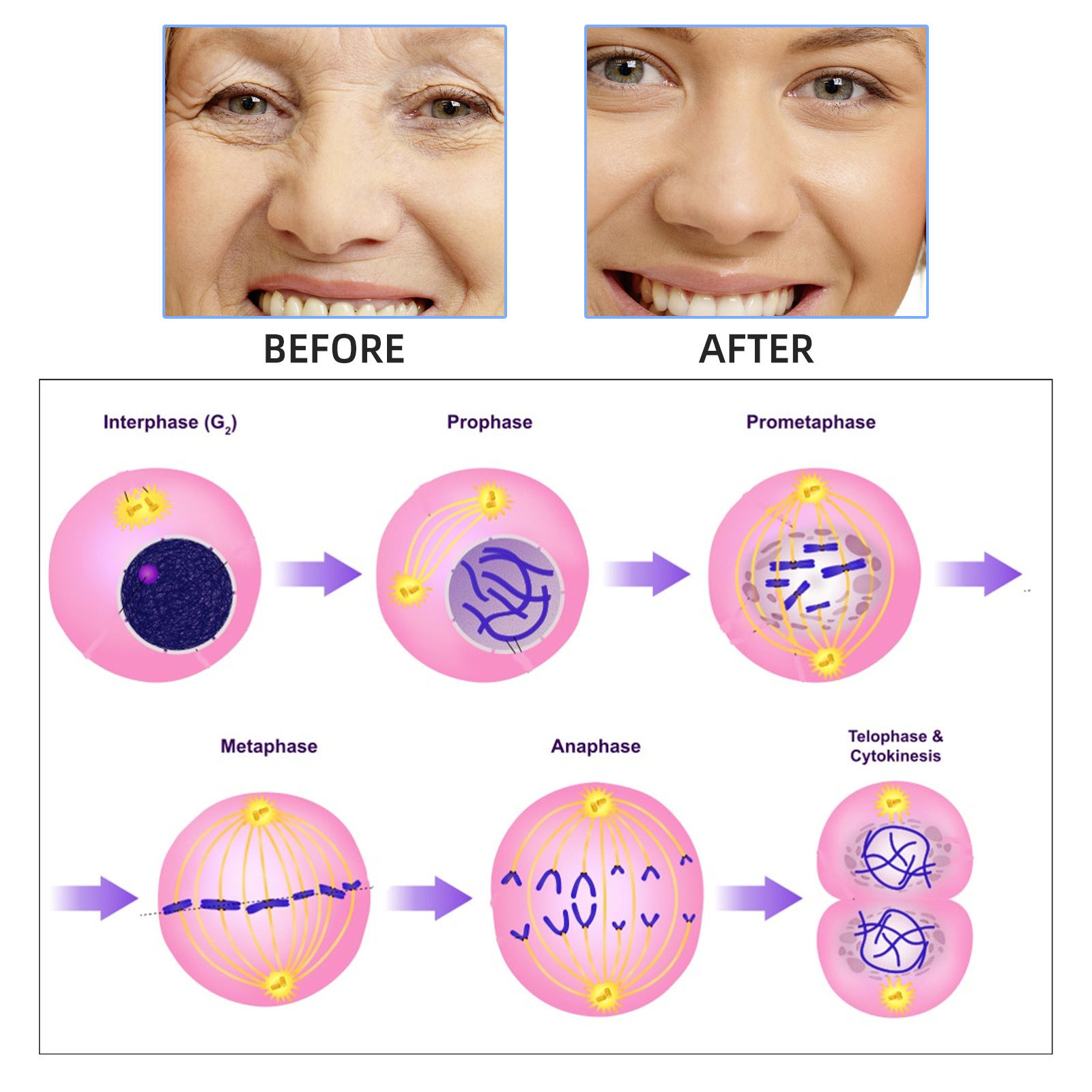 2 مللي * 7 قطعة حمض الهيالورون - مراجعة Hyaluronic Acid Facial Serum وسعره